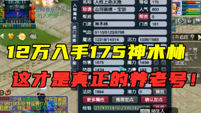 梦幻西游：这才叫养老号，12万入手175神木，全身不磨挂机到老！
