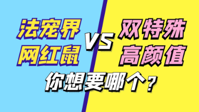 梦幻西游：法宠里的网红鼠VS双特殊高颜值，你更喜欢哪个？