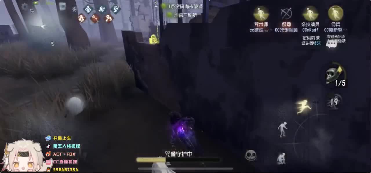 哪有什么带主播