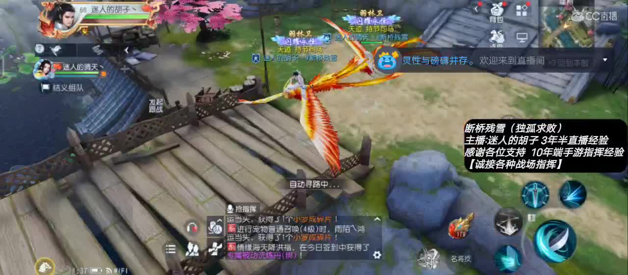 【专业主播】送个赞谢谢！