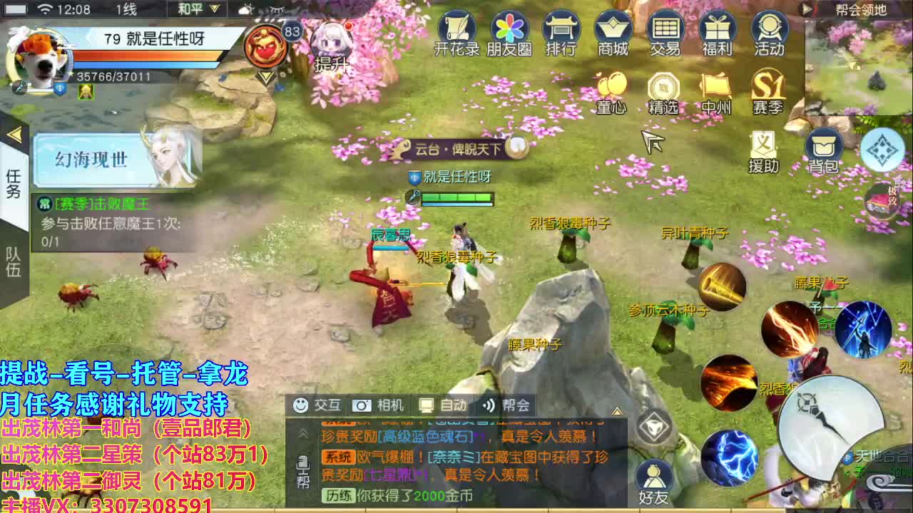 看号 提战托管 第1段