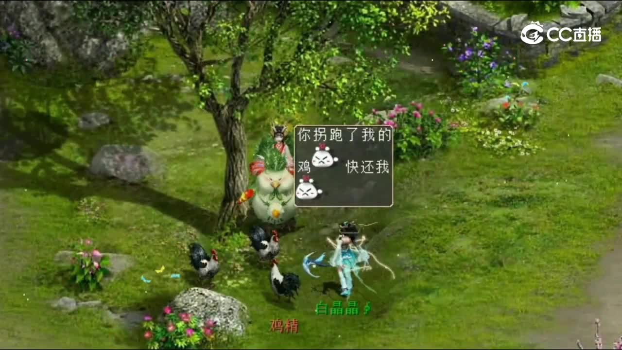 菜鸡