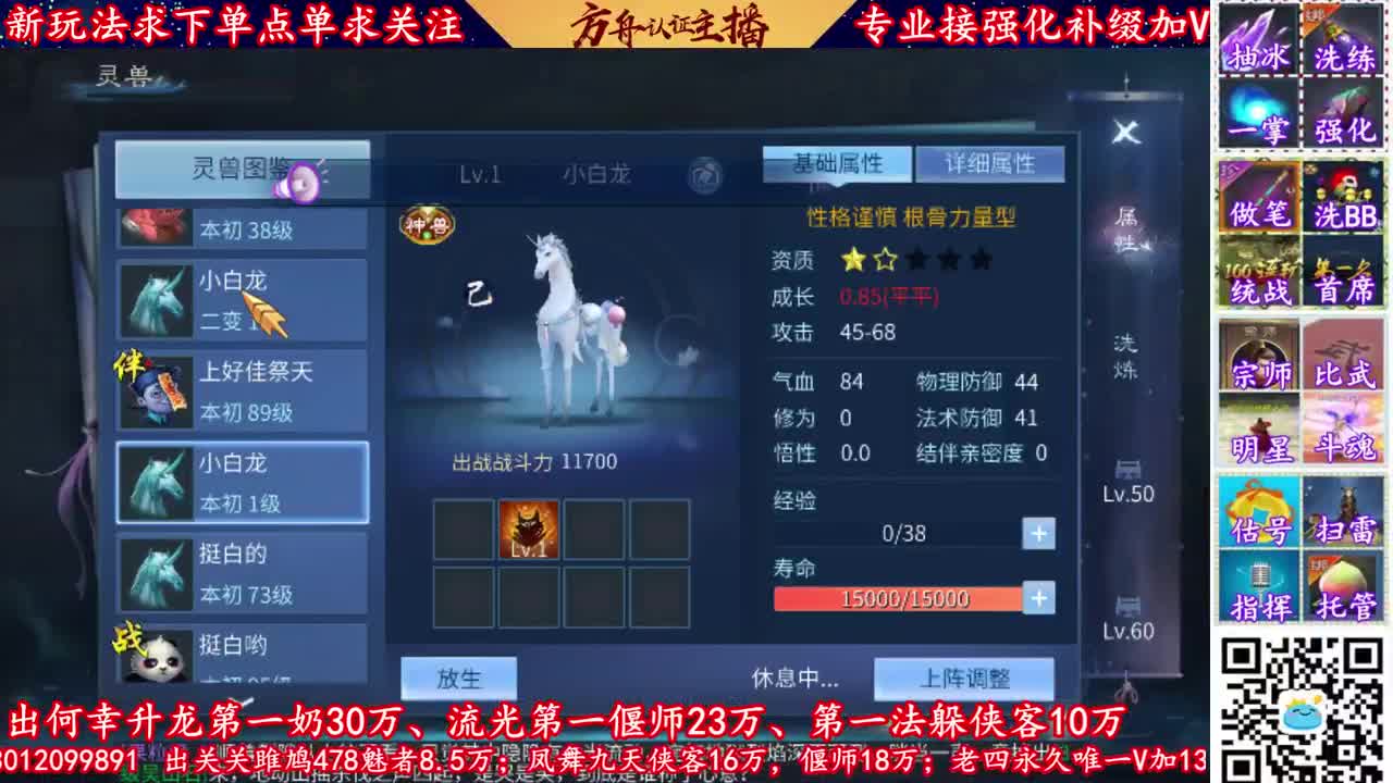 全网最专业的的强化补缀主播