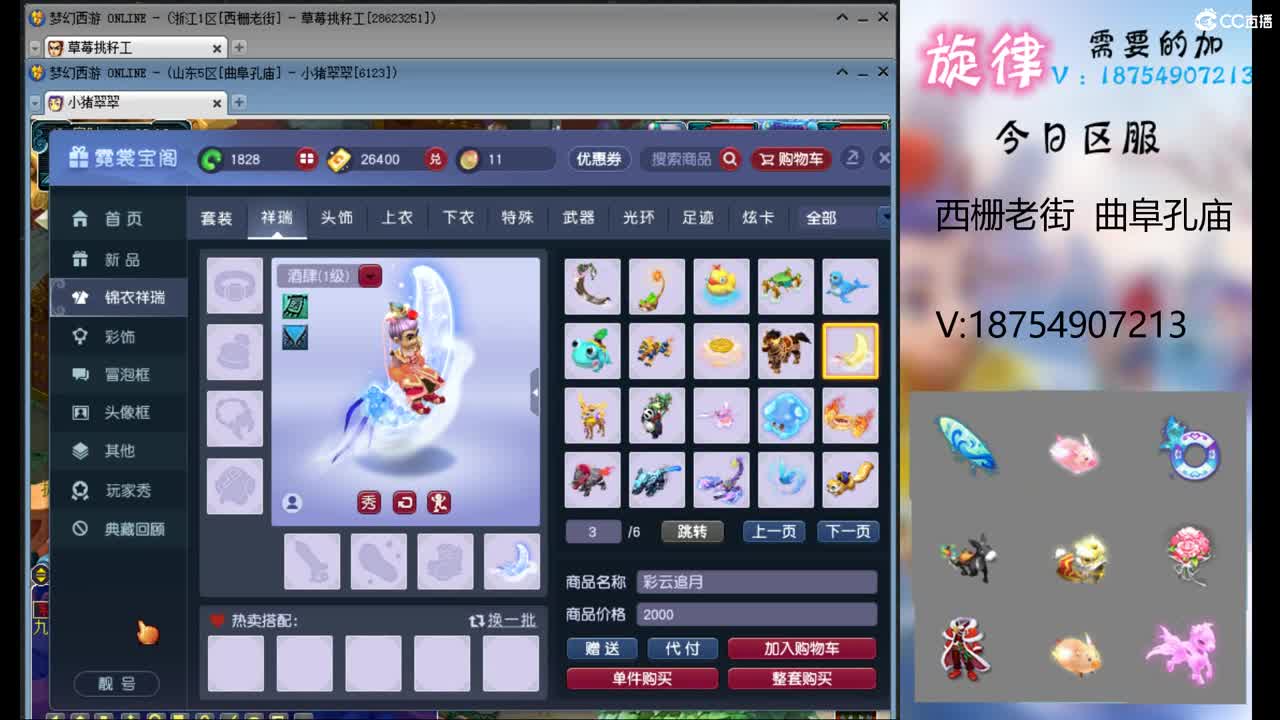 苏州园林全服最低接帆板泳圈飞天猪猪小驴 第2段