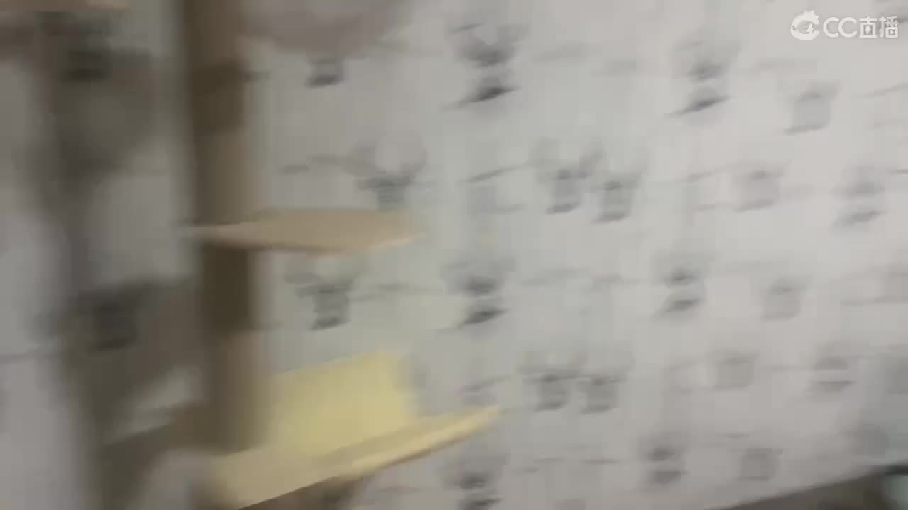 专业解说天梯 第2段