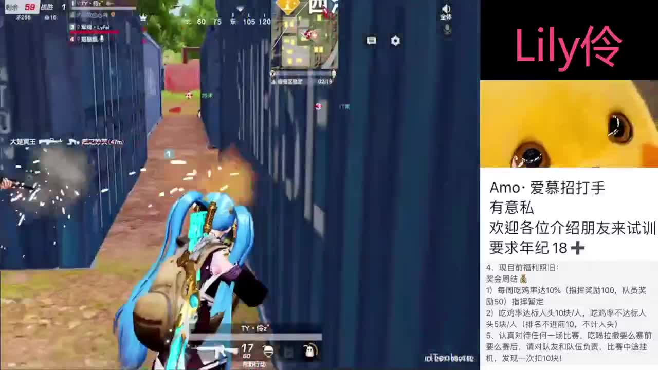 Lily伶 Amo招比赛人员 有工资待遇 第2段