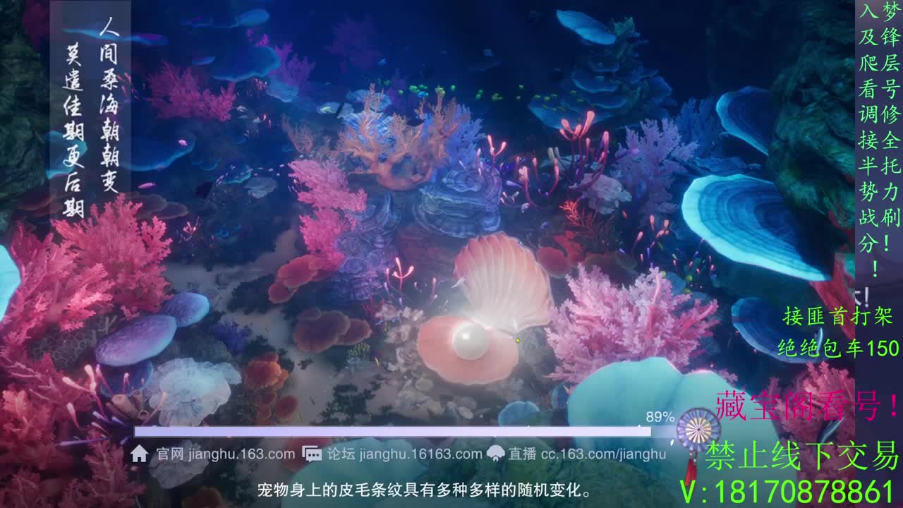 看号滴滴，全托滴滴！！！！