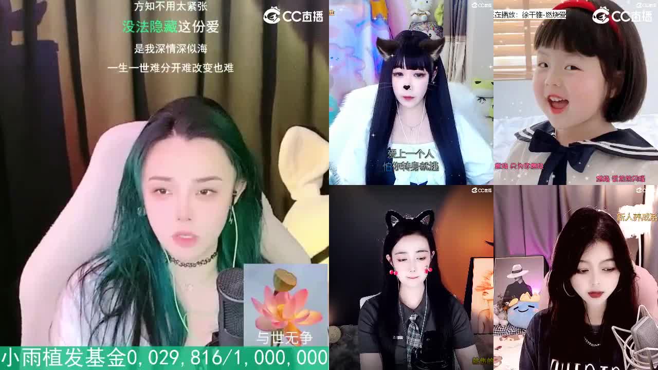 唱歌的2018勇武菜猪·2022·网卡版 第1段