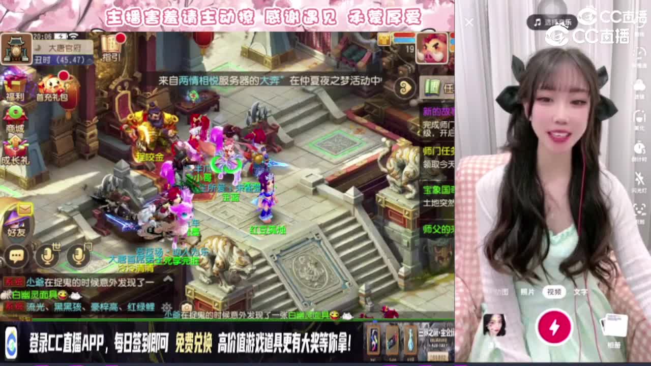 小肥猫