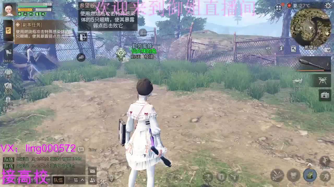 五本五图