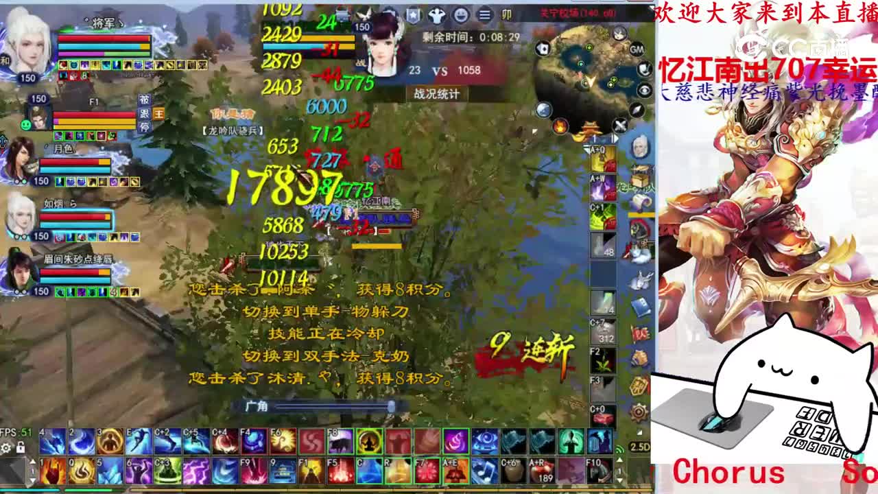 菊花150天狼