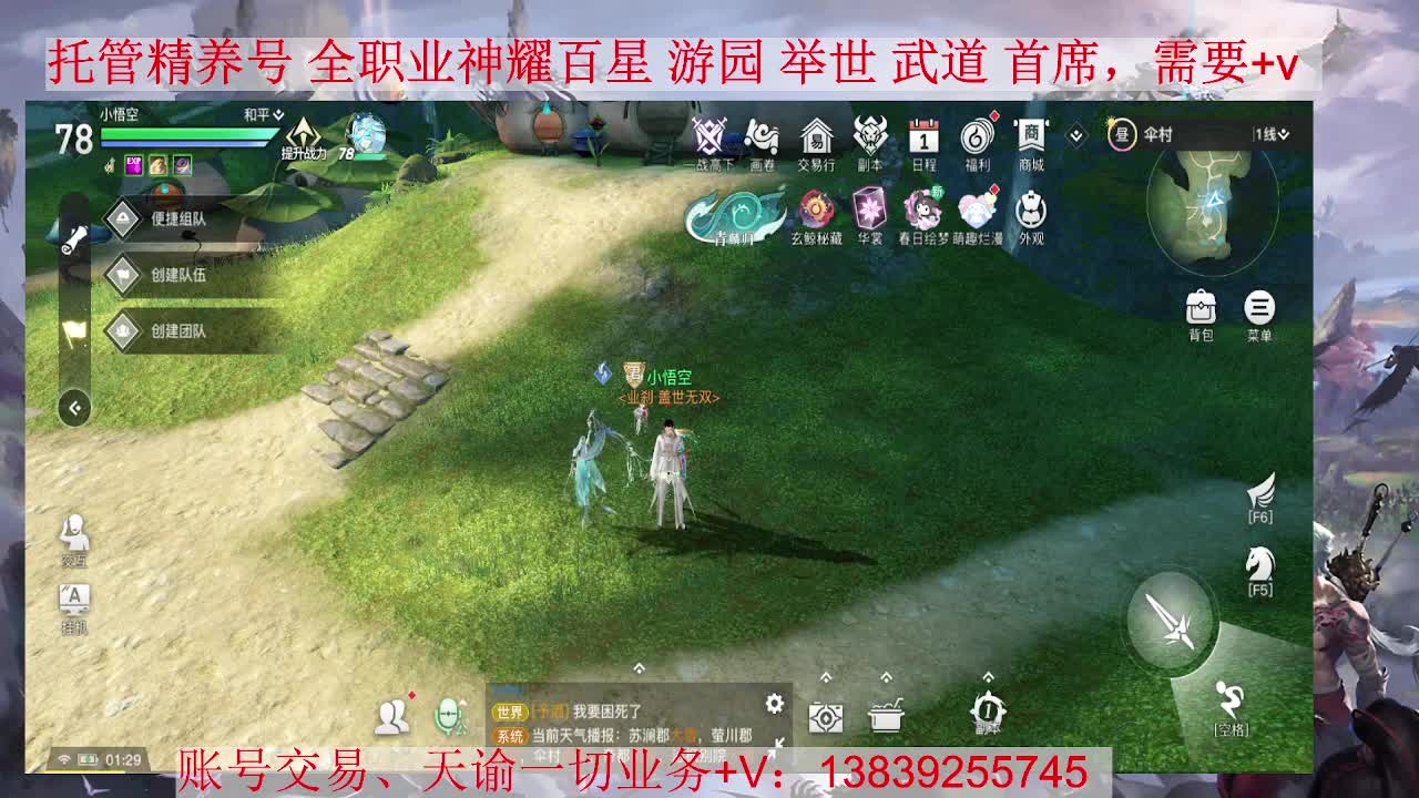 圣堂神耀，接全职业托管/神耀/天谕一切业务shengt 第2段