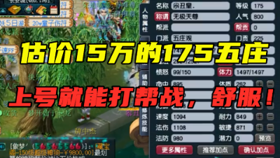 梦幻西游：老王估价15万的175五庄，上号就能打帮战，一个字爽！