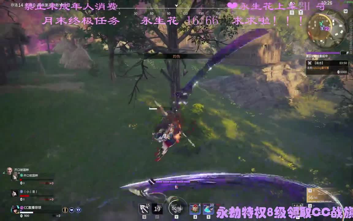看直播升级特权领战旗~