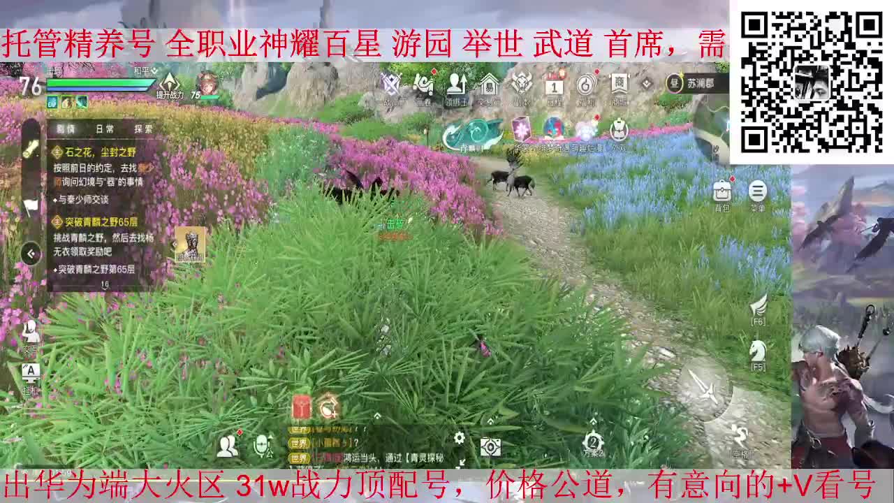 极播极播，接全职业托管/神耀/天谕一切业务 第3段