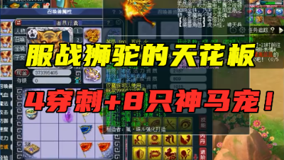 梦幻西游：堪称“服战狮驼天花板”，4件穿刺装8匹神马宠，豪横！