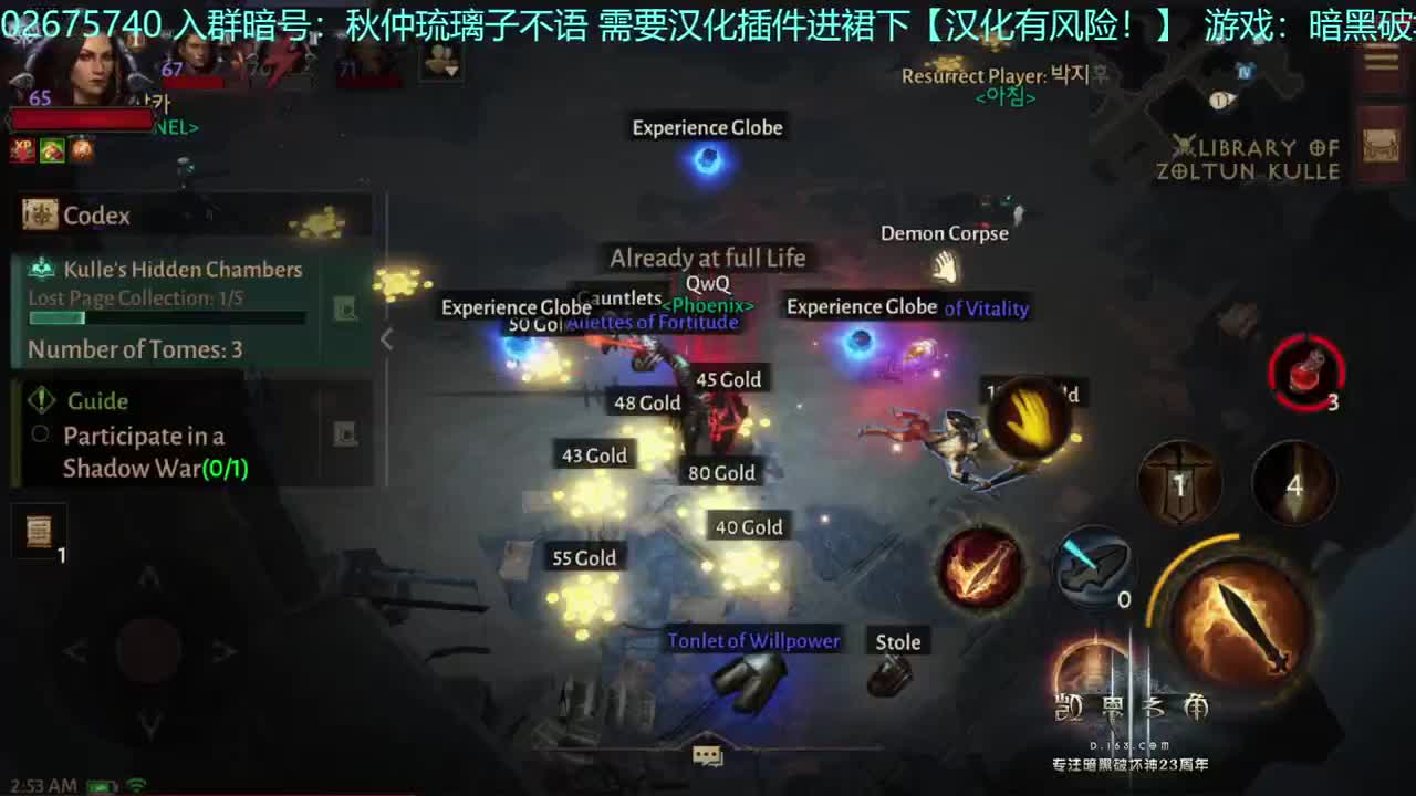 康康豆角