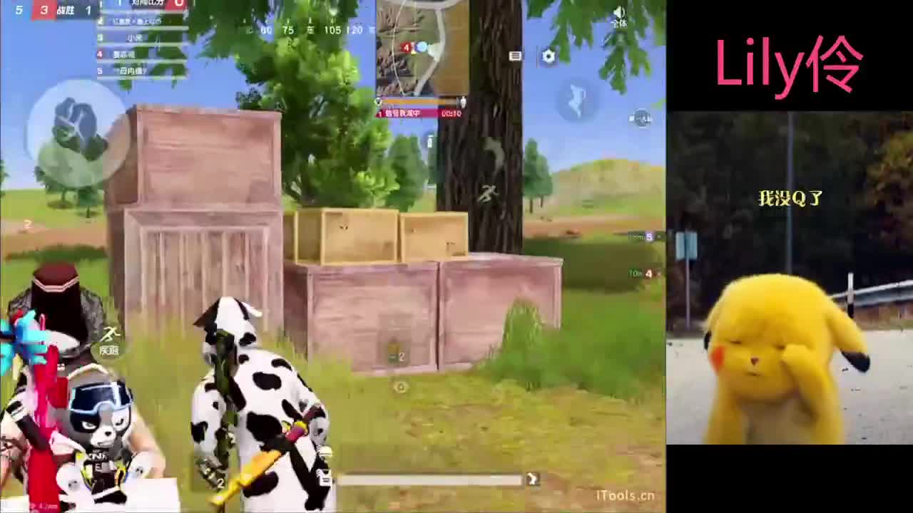 我家有个Lily宝小公主一人一张办卡谢谢