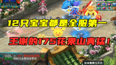梦幻西游：12只宝宝都是全服第一，王谢的175不磨花果山，馋人！