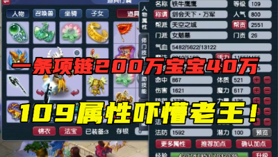 梦幻西游：一条项链200万，一只宝宝40万，2134法伤109法系吓懵老王！