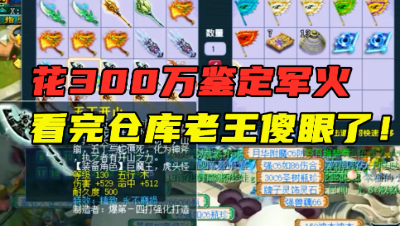 梦幻西游：花300万鉴定军火，1件都不卖？老王打开仓库，看傻眼了！