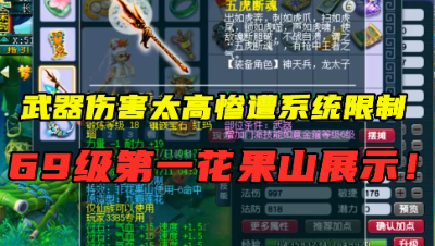 梦幻西游：武器伤害太变态惨遭系统限制，这个69级花果山真恐怖！