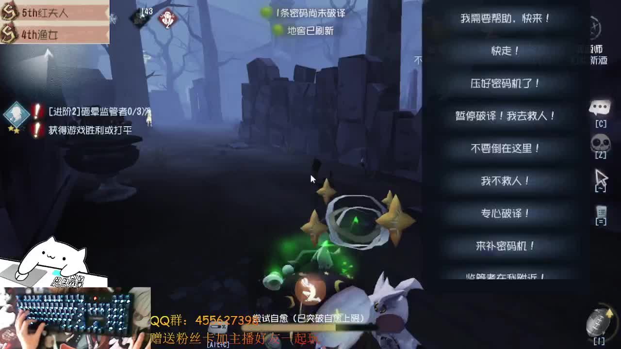 红蝶上大分