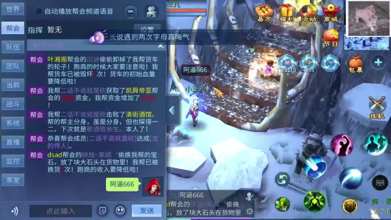锦鲤大翅膀怎么老被揍