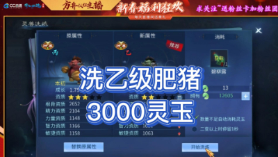 3000玉洗乙级肥旋风