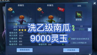 9000玉洗乙级南瓜