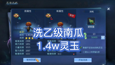 1.4万玉洗乙级南瓜