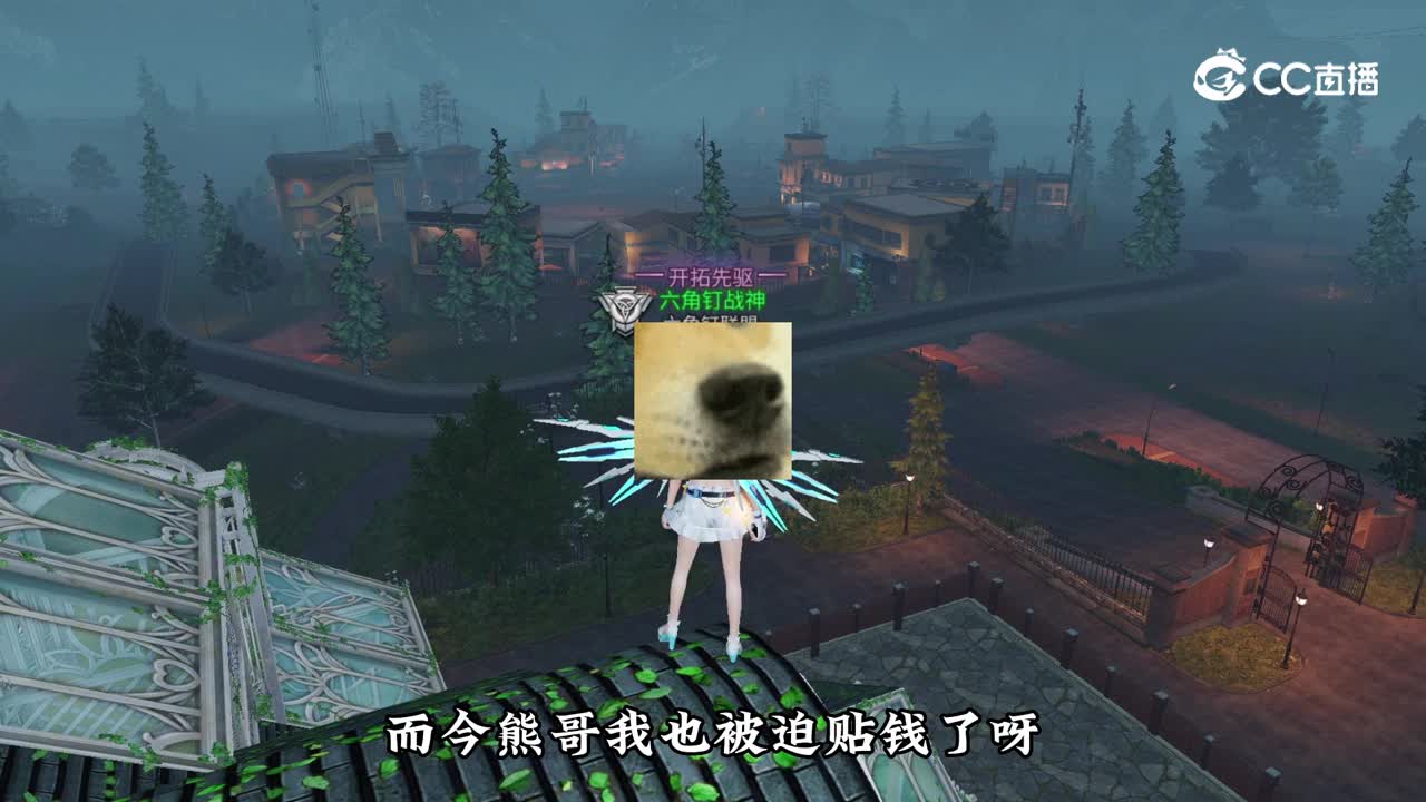 熊哥小诸葛