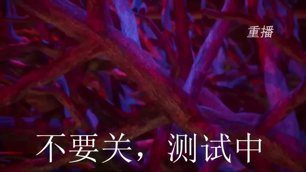 今天也是努力的一天 第2段