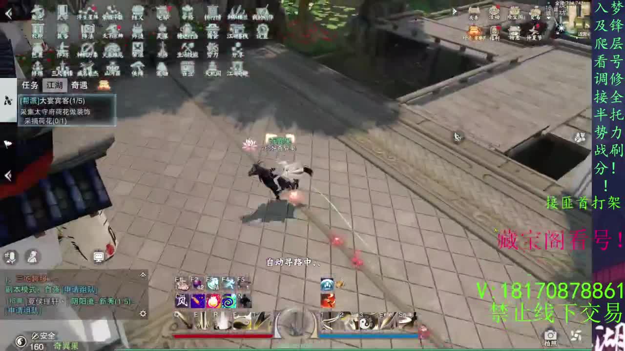 葱葱葱！！！