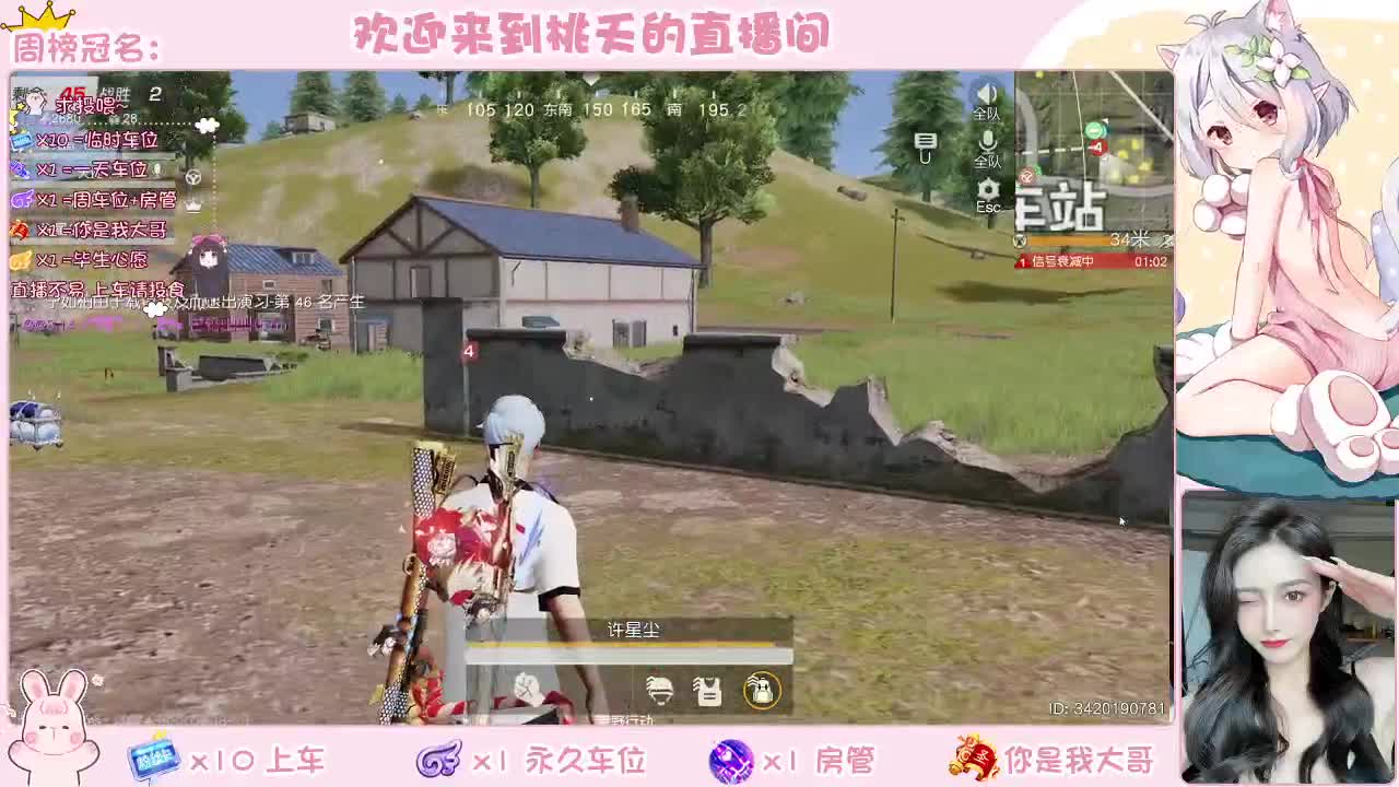 有的 白