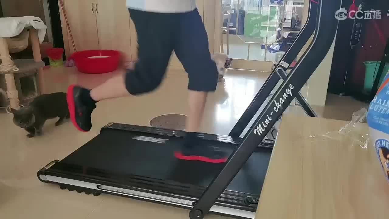日常跑步