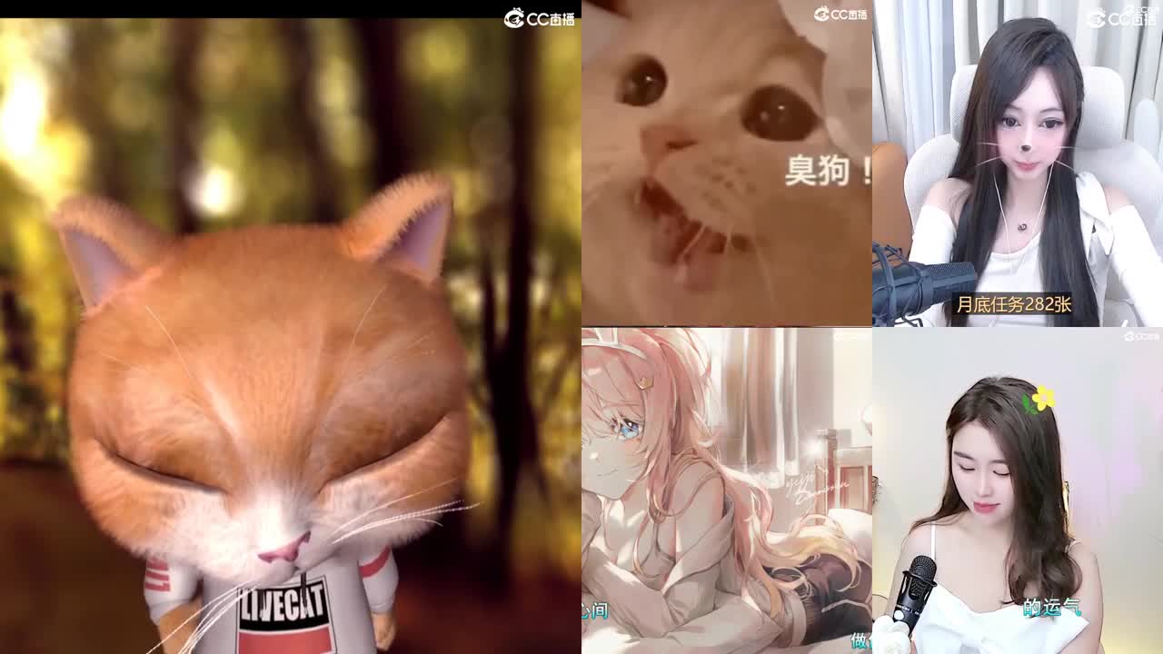 看直播不是目的被你喜欢才是 第1段