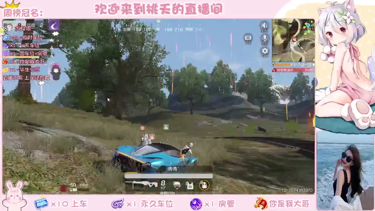 有的 白 第2段