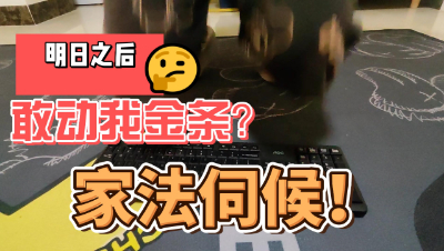 【明日之后】敢动我金条？家法伺候！