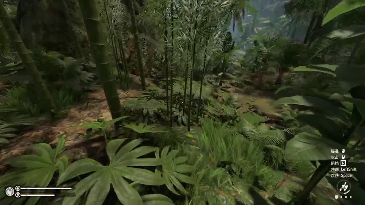 热带雨林的冒险生活