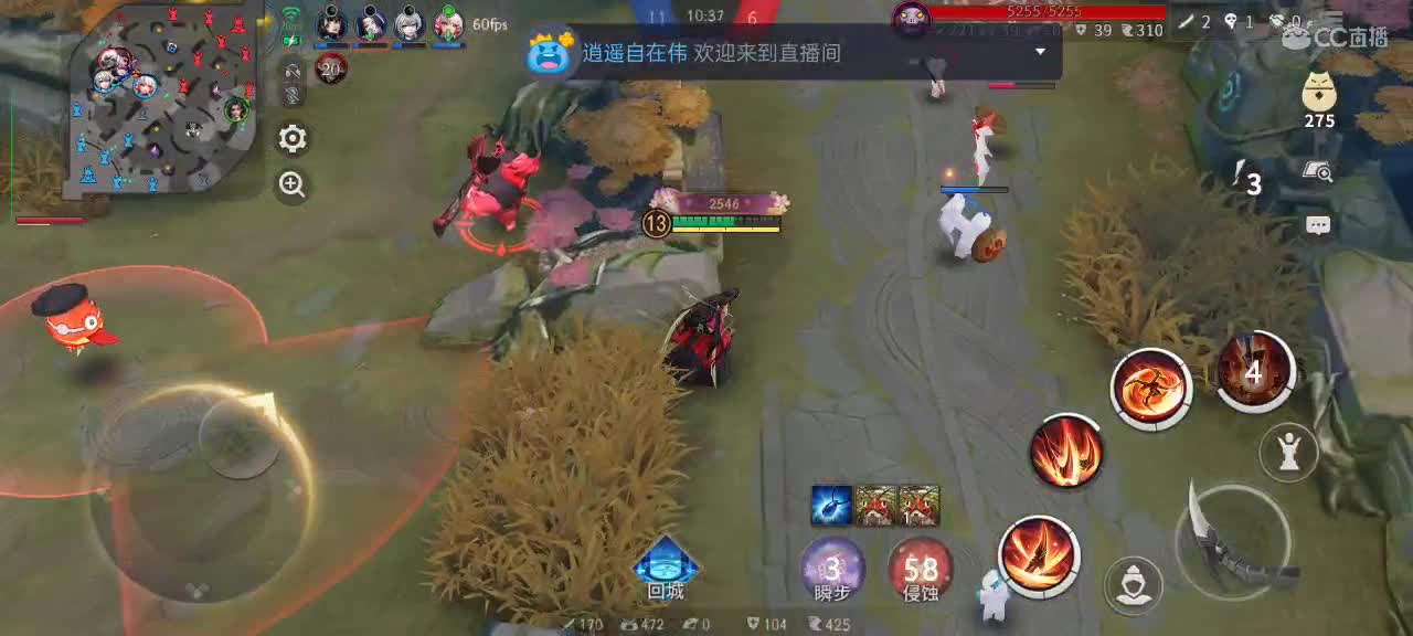 樱花妖何时上线 第1段