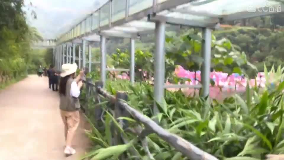 开会户外！