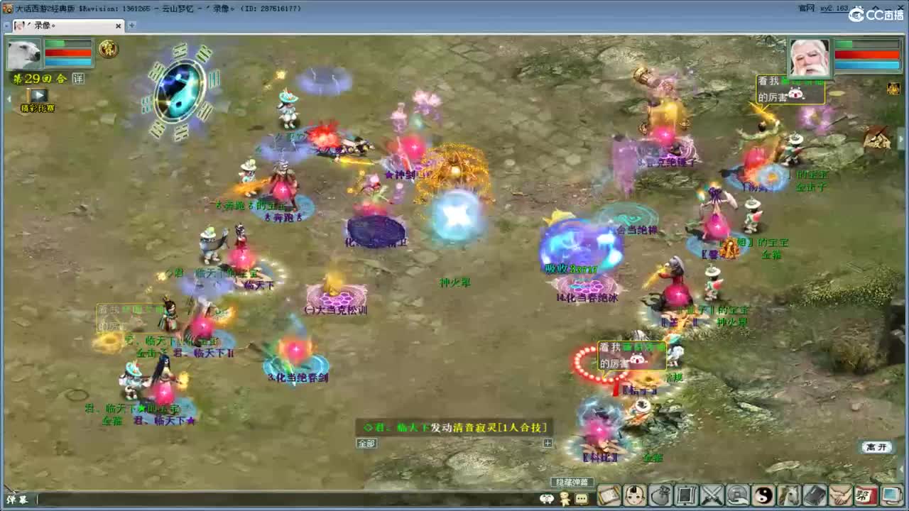 看天梯录像 老虎VS君临 第3段