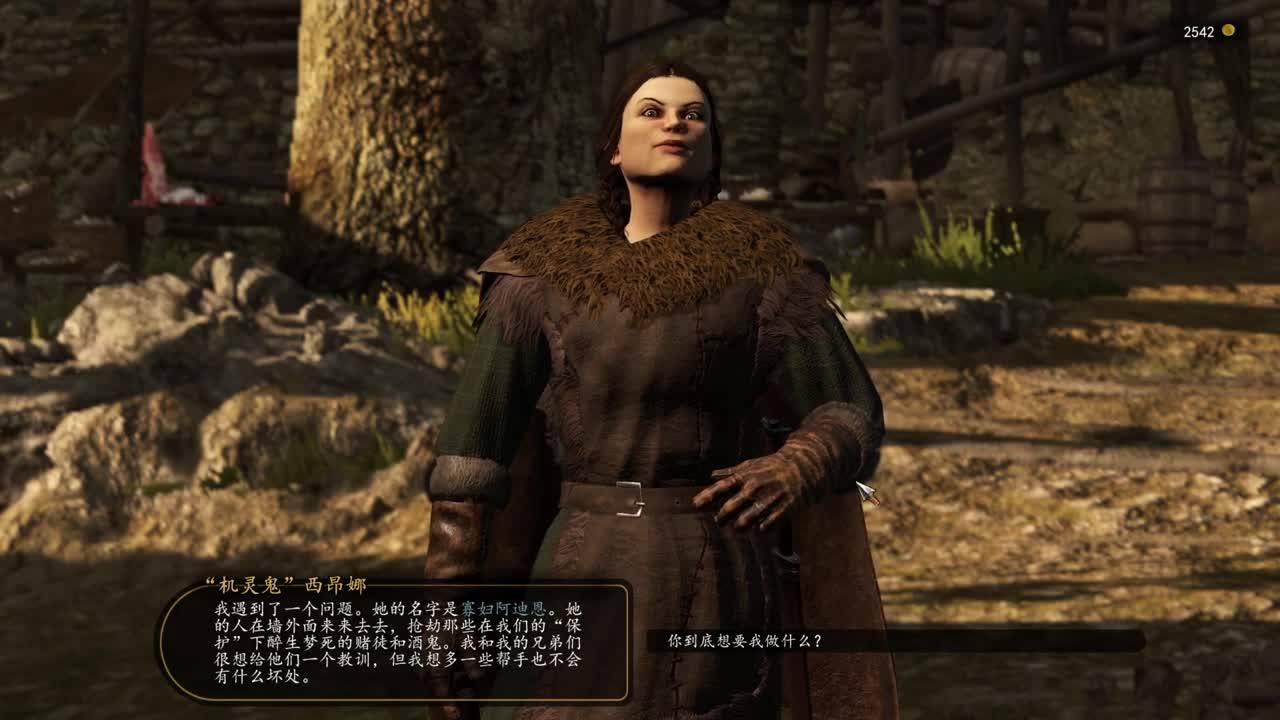 骑马与砍杀2-霸主