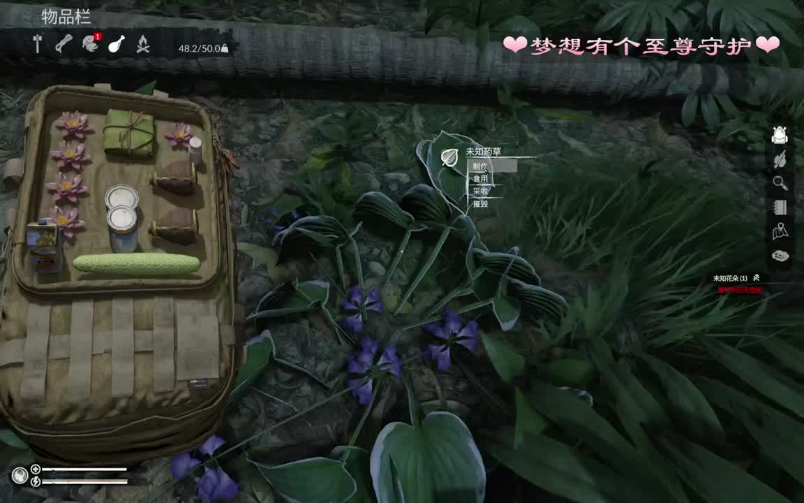 昨晚梦见有人给我刷至尊守护啦~~ 第1段