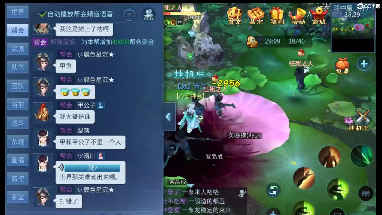 有你们相伴真好..