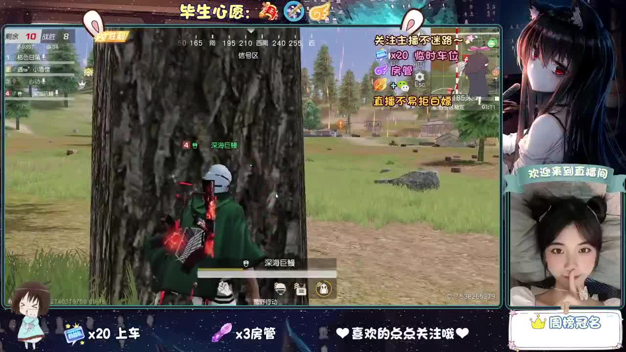 秋天是倒放的春天