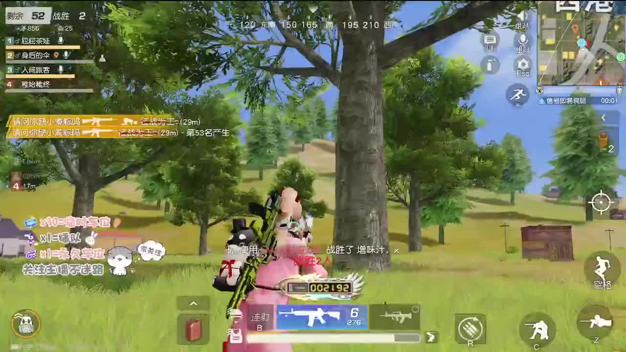是风就该自由 要什么归宿