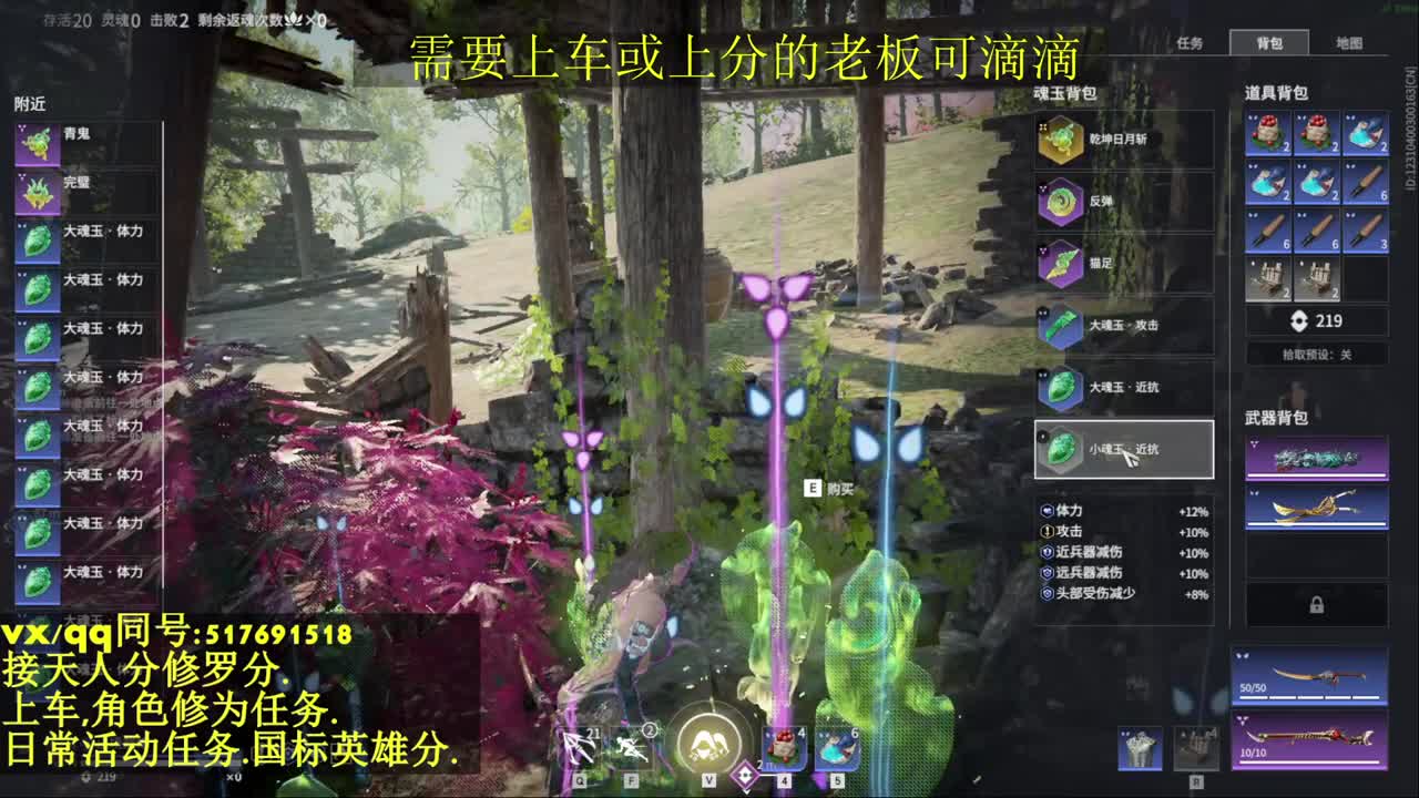修罗局接上车,上分,天人榜.修为,日常 第2段