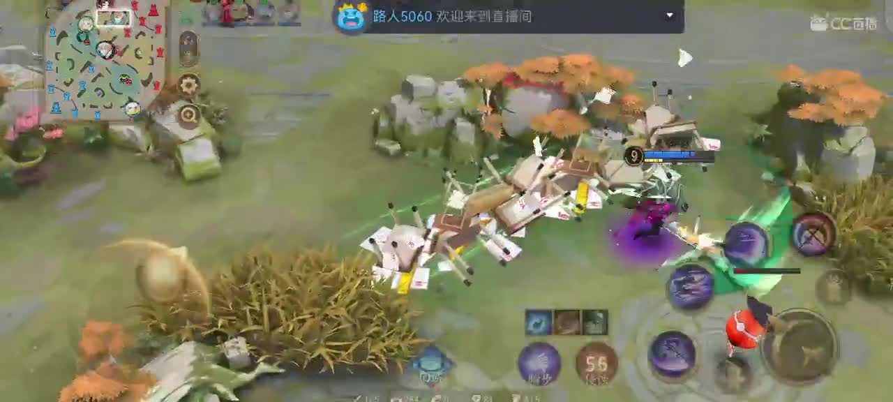 包C不包赢